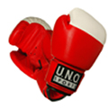 Boxtraining